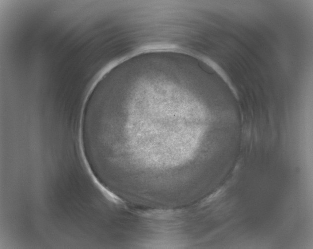 X0000054441245200508121836