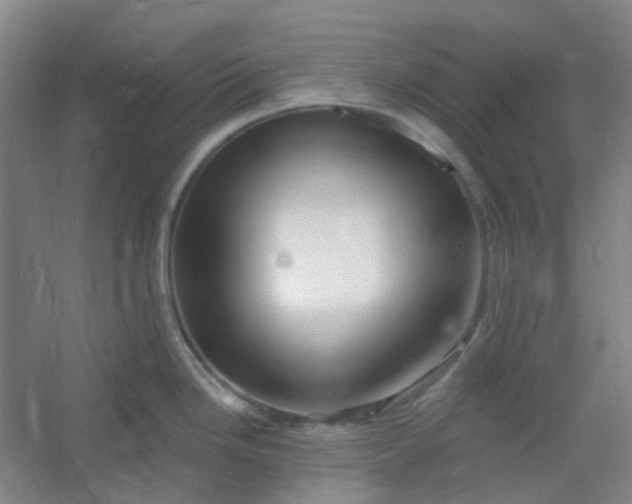 X0000054441246200508121836