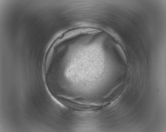 X0000054441247200508121836