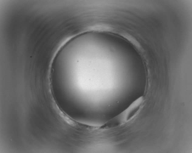 X0000054441248200508121836