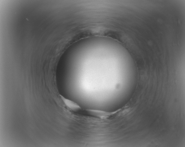 X0000054441249200508121835