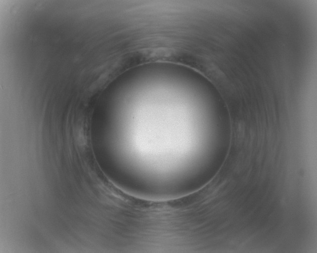 X0000054441250200508121835