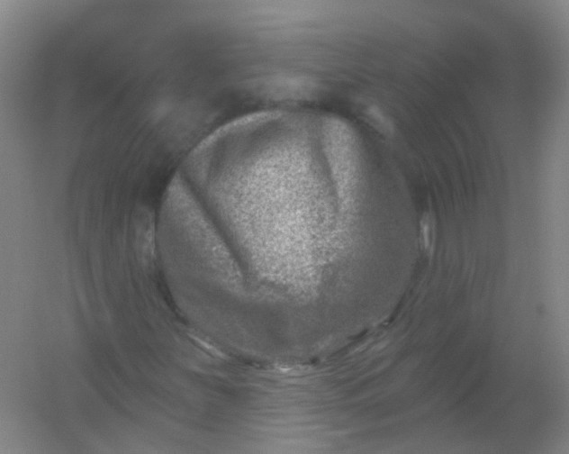 X0000054441251200508121835