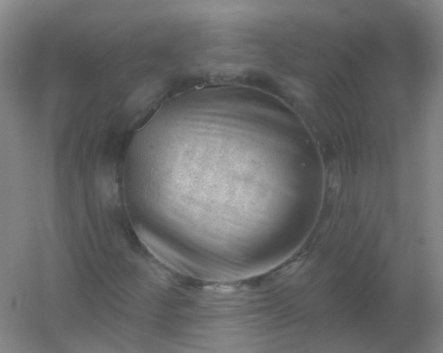 X0000054441252200508121835