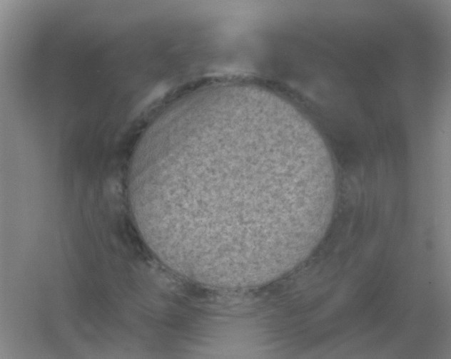 X0000054441254200508121835