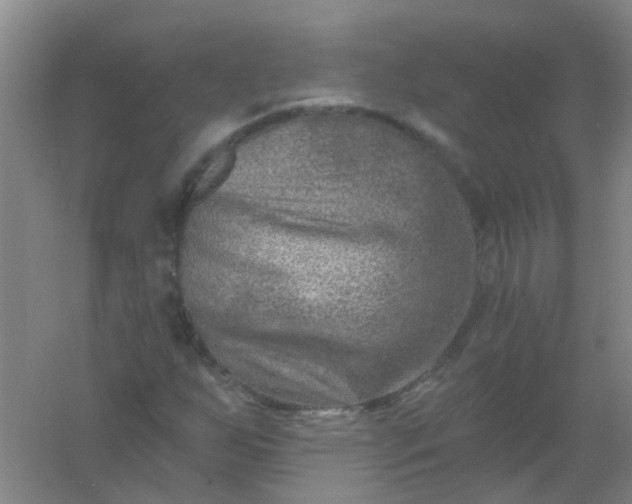 X0000054441255200508121835