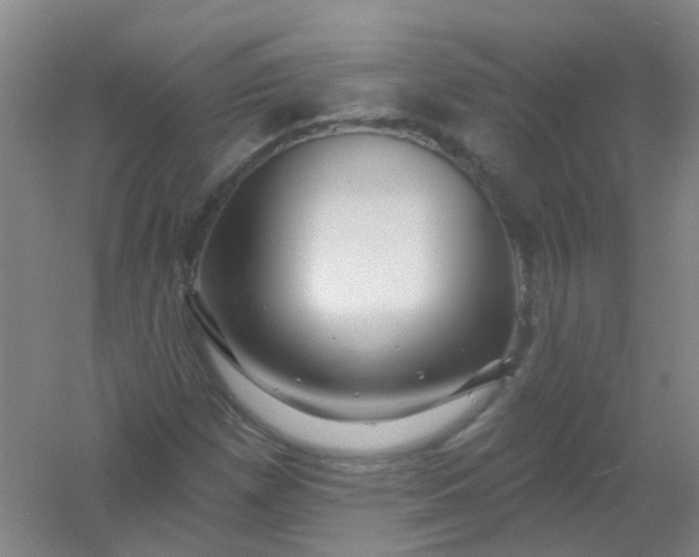 X0000054441257200508121835