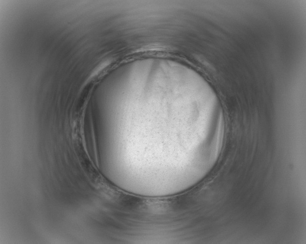 X0000054441258200508121835