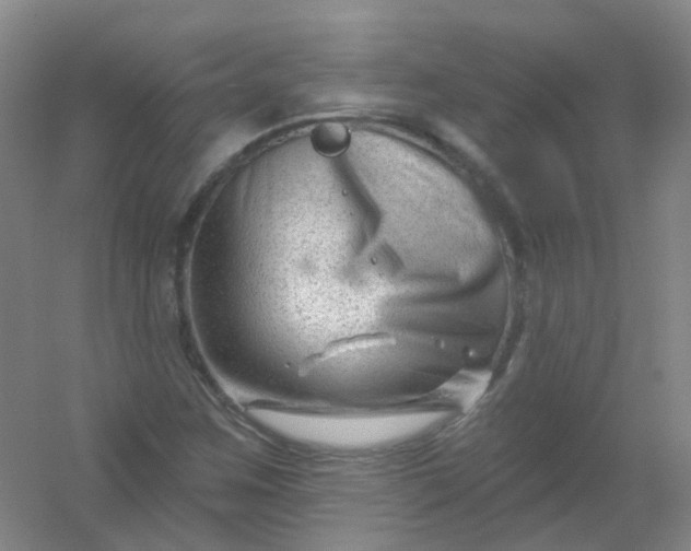 X0000054441259200508121835