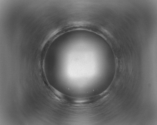 X0000054441261200508121835