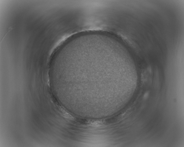 X0000054441262200508121835