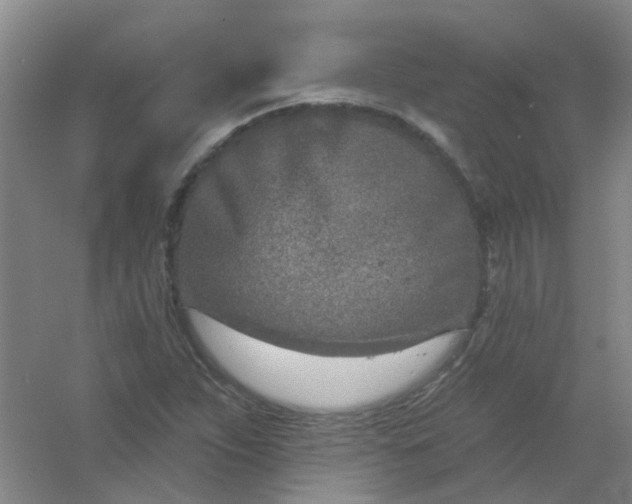 X0000054441263200508121835