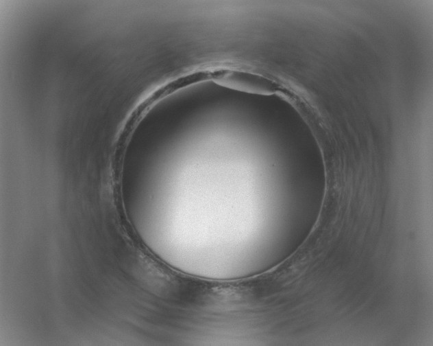 X0000054441264200508121835