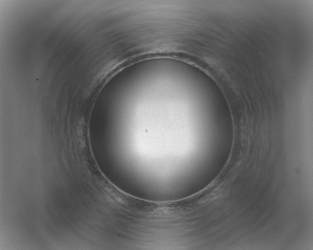 X0000054441265200508121835