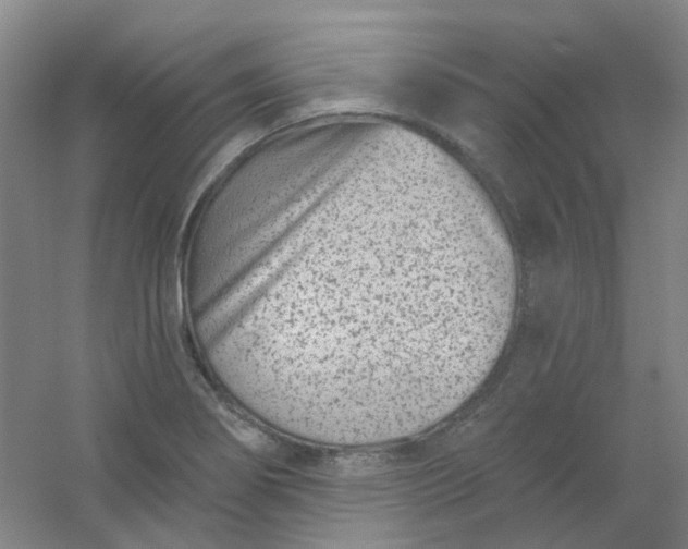 X0000054441274200508121835