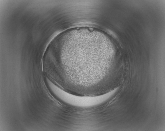 X0000054441275200508121835