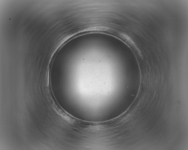 X0000054441276200508121835