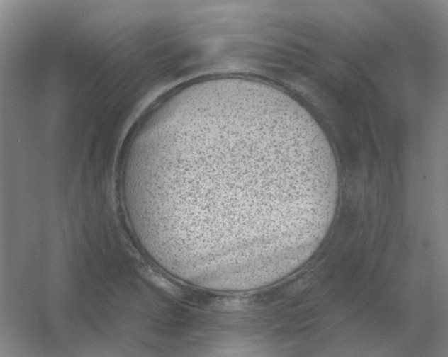 X0000054441278200508121835