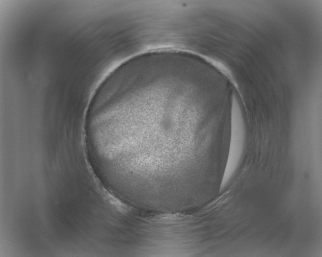 X0000054441279200508121835