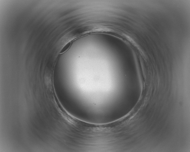 X0000054441281200508121835