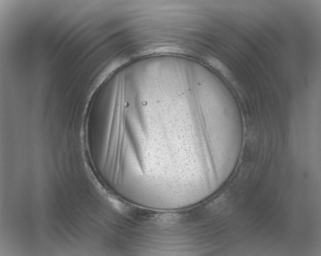 X0000054441282200508121835