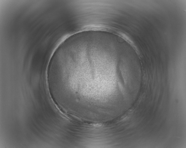 X0000054441283200508121835