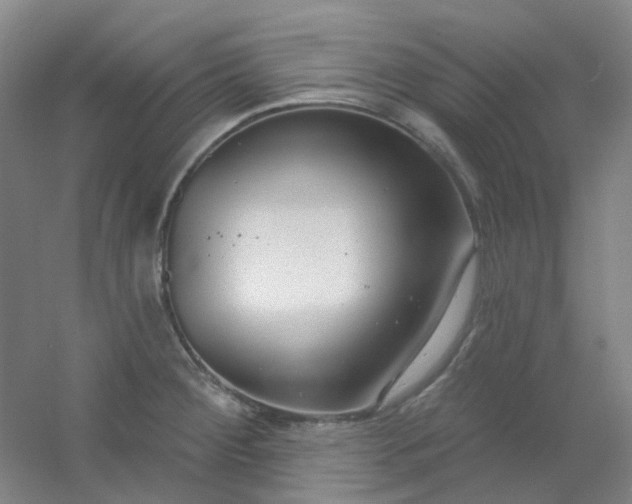 X0000054441284200508121835