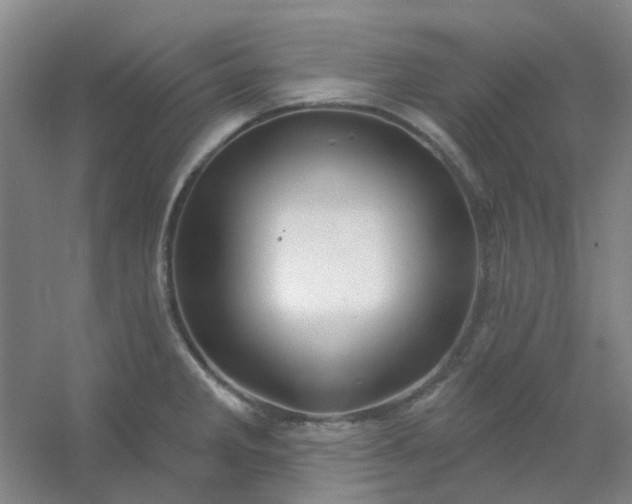 X0000054441285200508121835