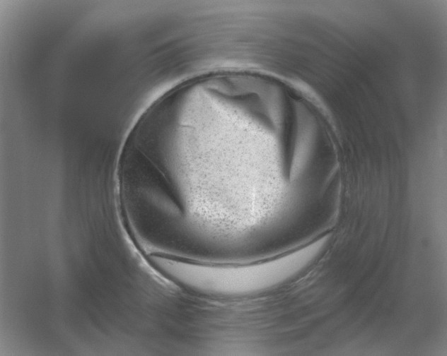 X0000054441287200508121835