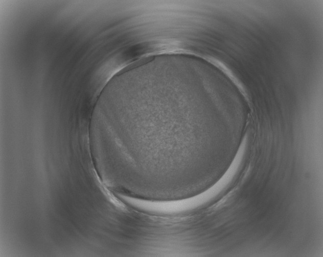 X0000054441289200508121835