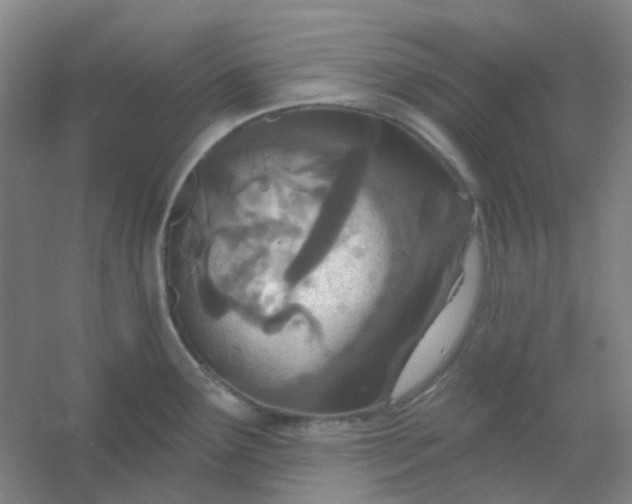 X0000054441291200508121835