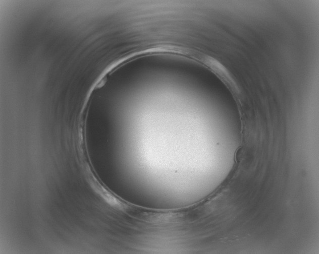 X0000054441292200508121835