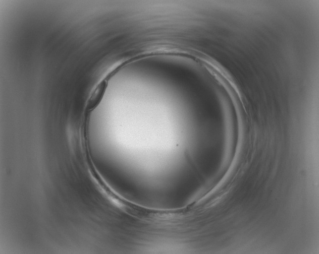 X0000054441293200508121835