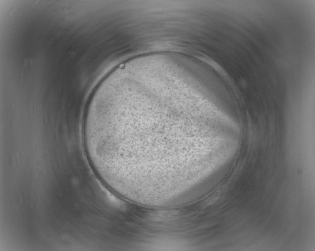 X0000054441294200508121835