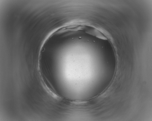 X0000054441296200508121835