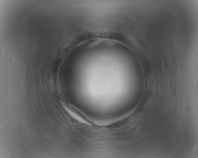 X0000054441298200508121834