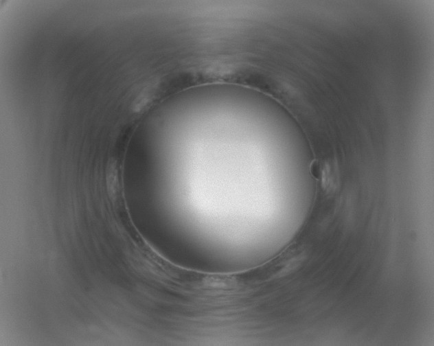 X0000054441299200508121834