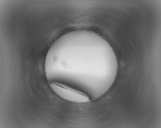 X0000054441300200508121834