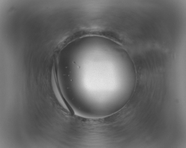 X0000054441301200508121834