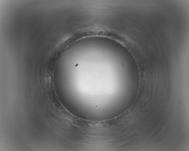 X0000054441302200508121834