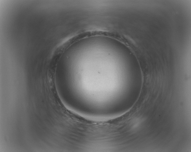 X0000054441303200508121834