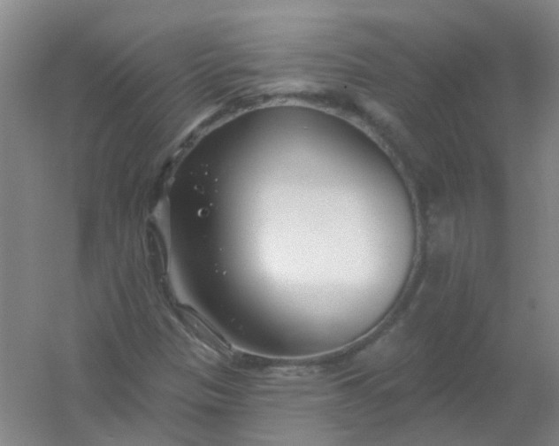 X0000054441305200508121834