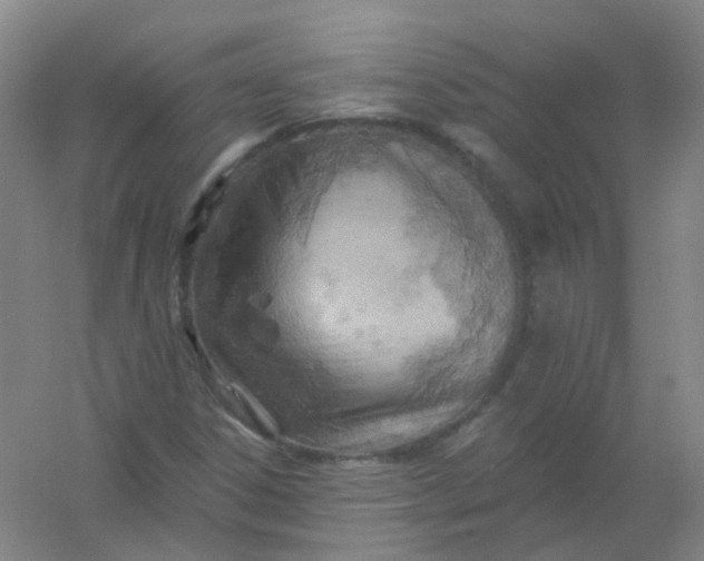 X0000054441306200508121834