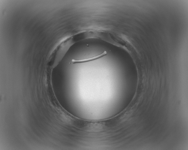 X0000054441307200508121834