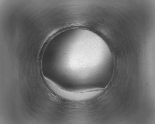 X0000054441308200508121834