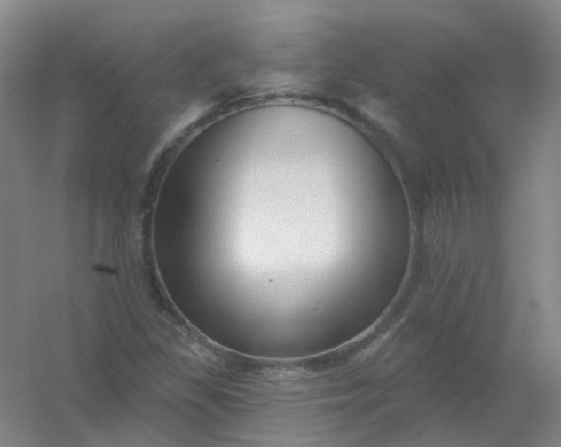 X0000054441309200508121834