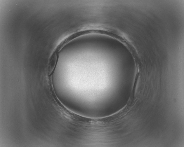 X0000054441312200508121834