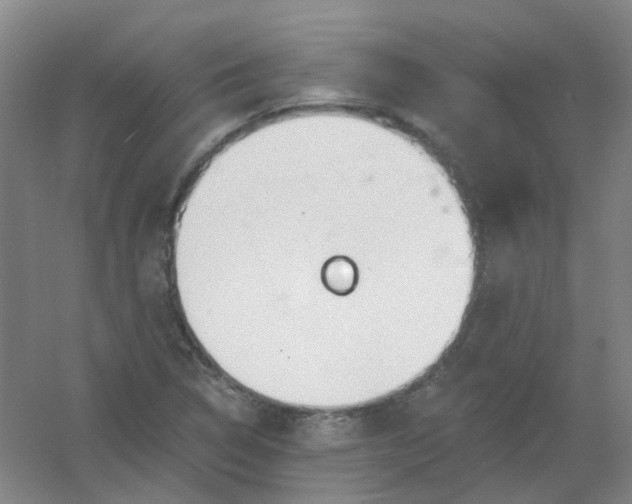 X0000054441314200508121834