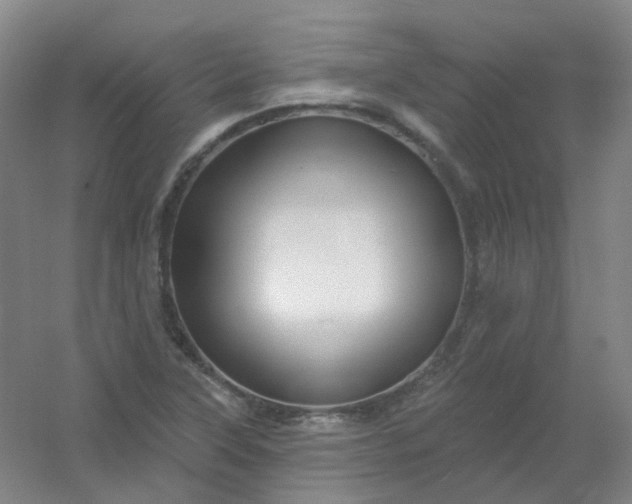 X0000054441315200508121834