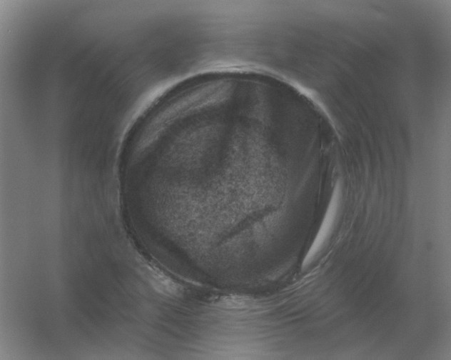 X0000054441319200508121834